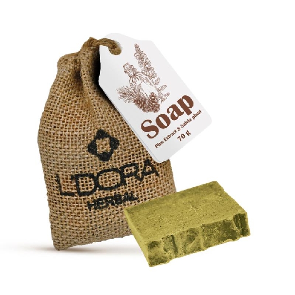 صابون گیاهی حاوی عصاره‌ کاج وگیاه مریم‌گلی لدورا هربال 70 گرمی

L’DORA Herbal Soap with Pine Extract and Salvia, 70 g